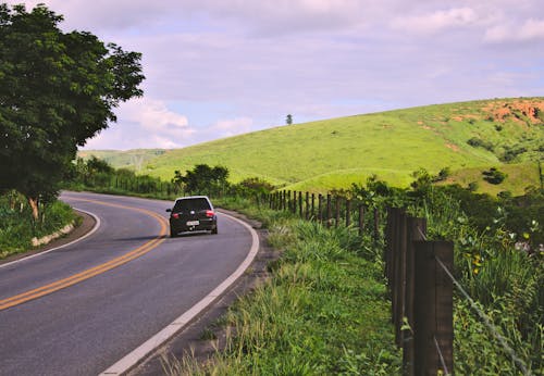 緑の葉の植物の近くの道路上の黒い車