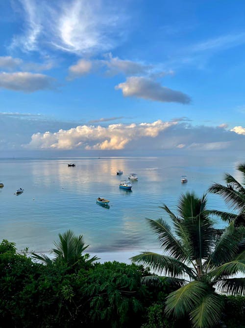 Scenic View of the Boats in the Sea