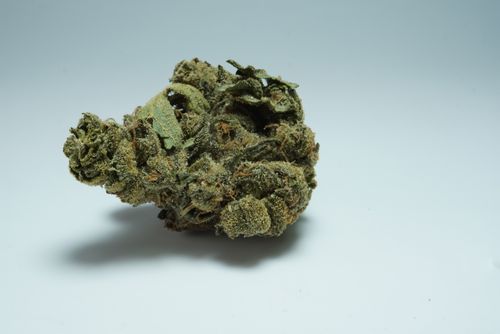 Free stock photo of big buddha chees, cannabis Stock Photo
