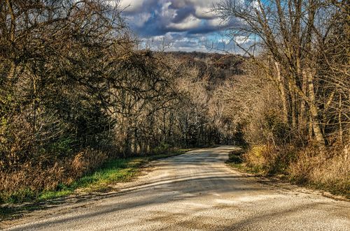 Free A scenic unpaved road winds through a bare tree forest under a cloudy sky in Minnesota. Stock Photo