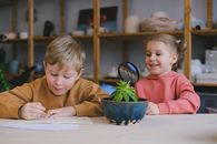 Free stock photo of blond, boy, child