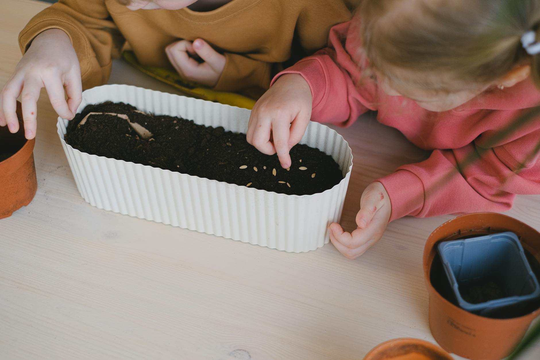 https://www.pexels.com/photo/girl-putting-seeds-on-a-pot-11286030/