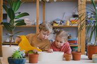 Free stock photo of boy, child, children