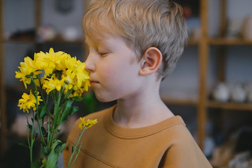 Fotos de stock gratuitas de chaval, Flores amarillas, niño