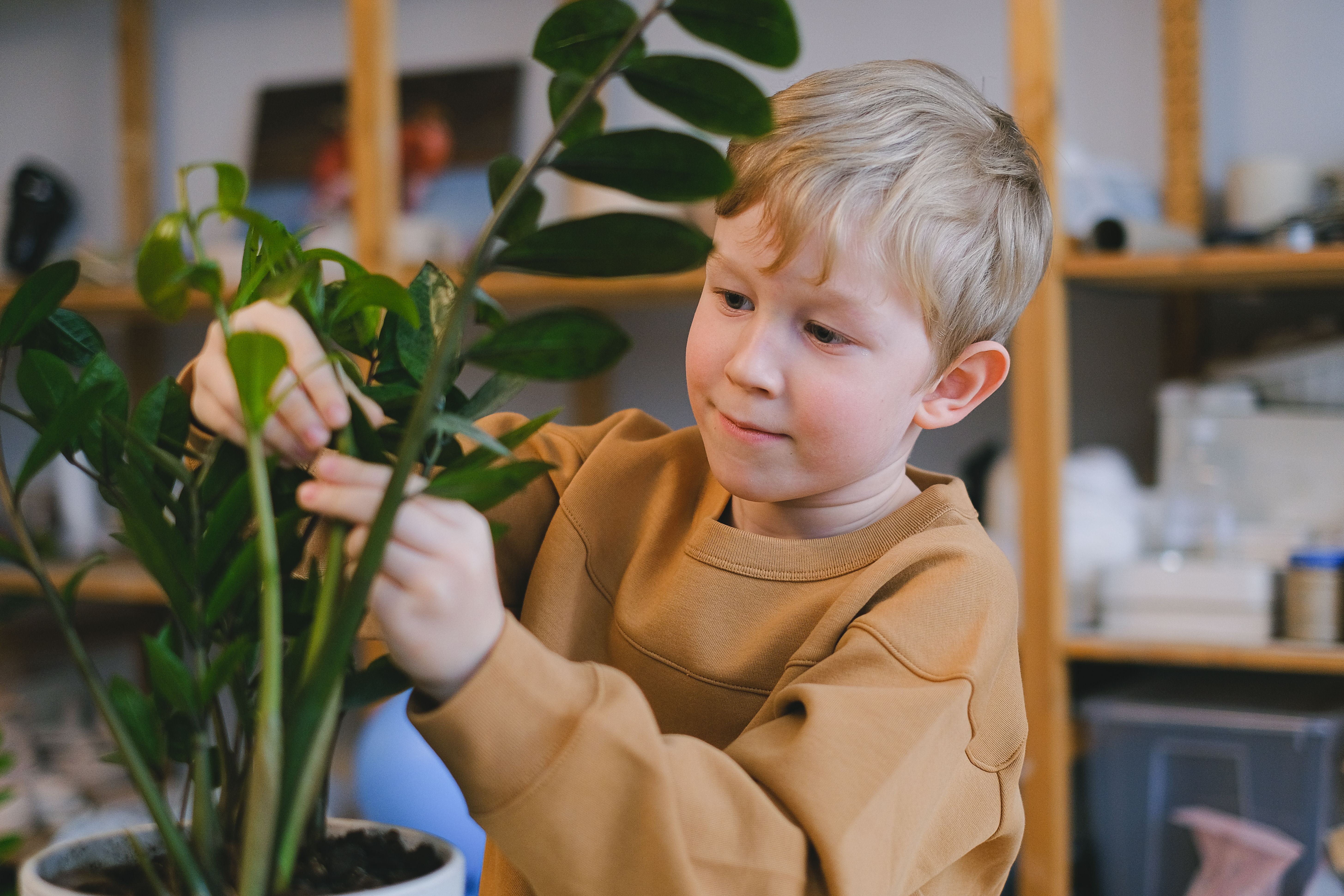 Why Your Indoor Plant Leaves Are Brown and Crispy (And What Actually Works to Fix It)