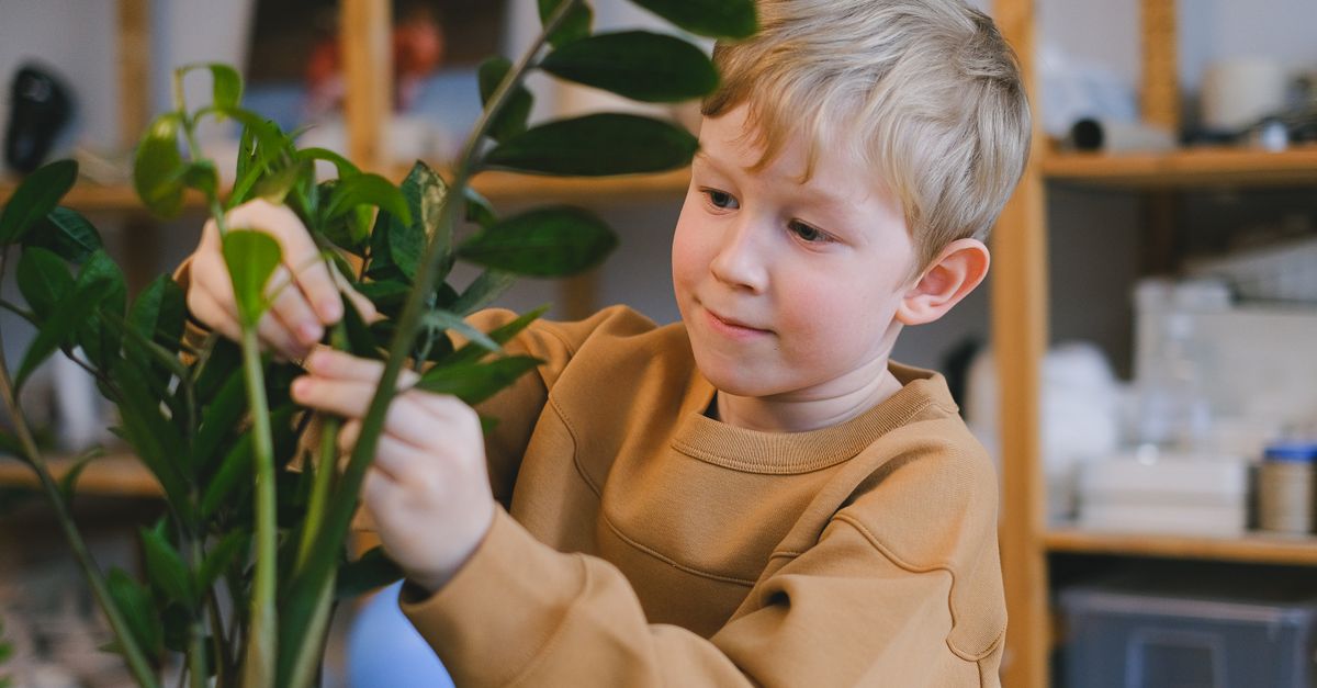 Why Your Indoor Plant Leaves Are Brown and Crispy (And What Actually Works to Fix It)