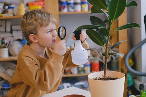 Free Young boy using magnifying glass and spray bottle to explore and care for a potted plant indoors. Stock Photo