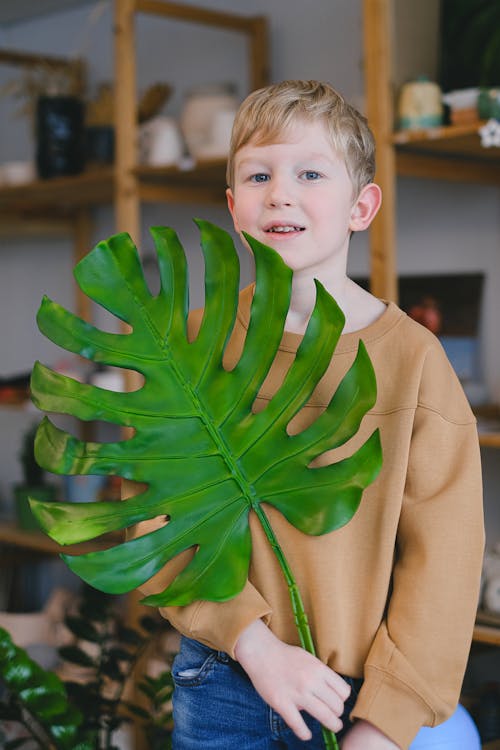 A Boy in Brown Sweatshirt Holding a Monstera Leaf