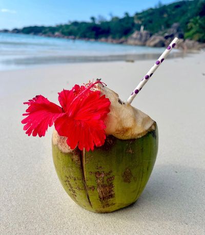 Coconut & shell craft