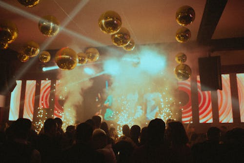 Crowd during Concert