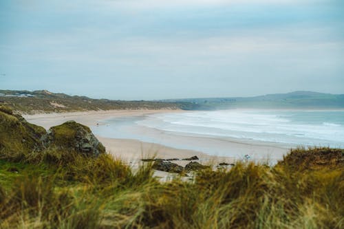 Imagine de stoc gratuită din coastă, fotografie cu drona, iarbă