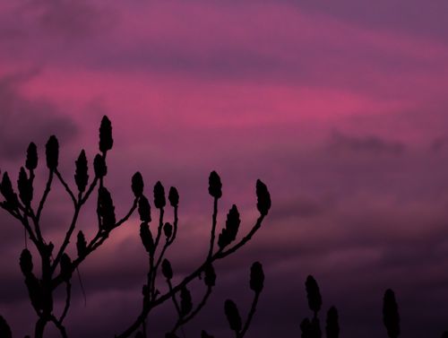 Free Red sky at night Stock Photo