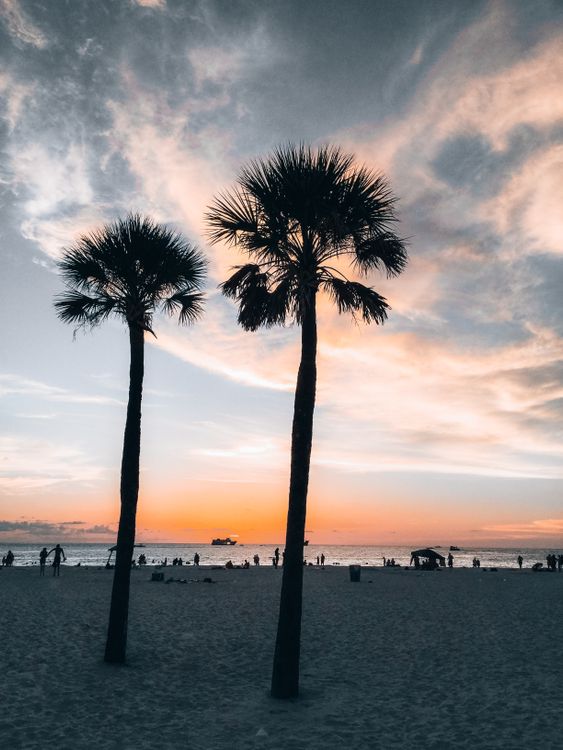 Florida beach sunset — stock placeholder