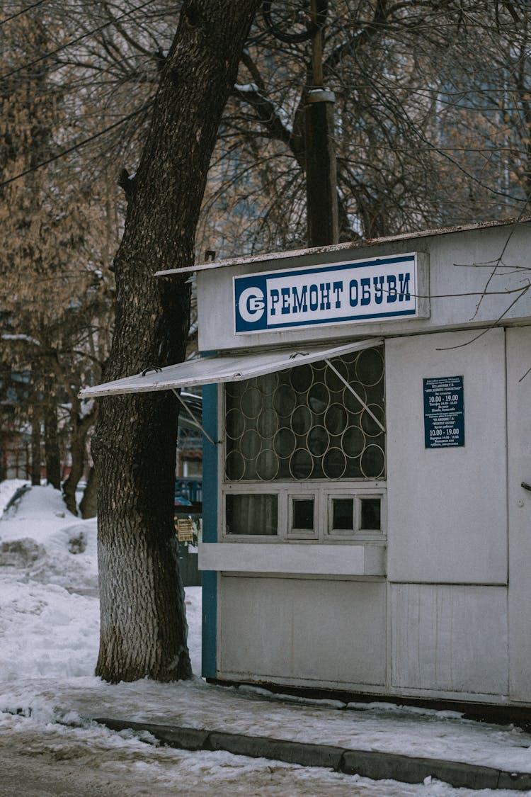 Wooden Store By The Tree