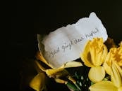 A Piece of Torn Paper on Daffodil Flowers