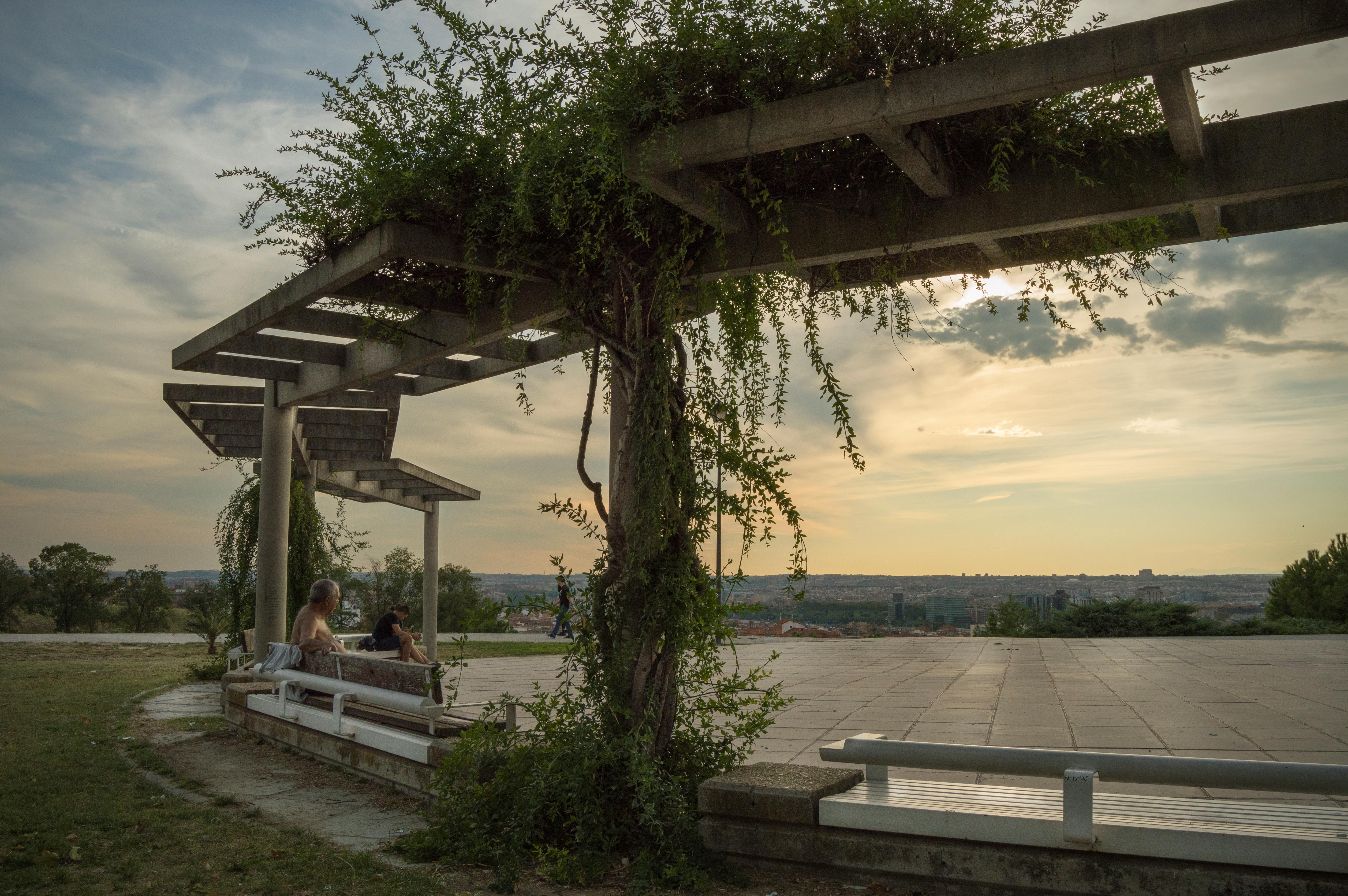 Free stock photo of beach, black and white, long exposure