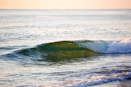 Green Body of Water With Wave