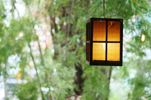 A Hanging Pendant Lamp