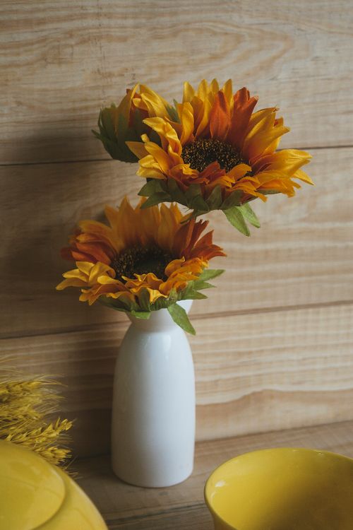 Free Beautiful sunflowers in a white vase against a wooden backdrop, evoking warmth and nature. Stock Photo