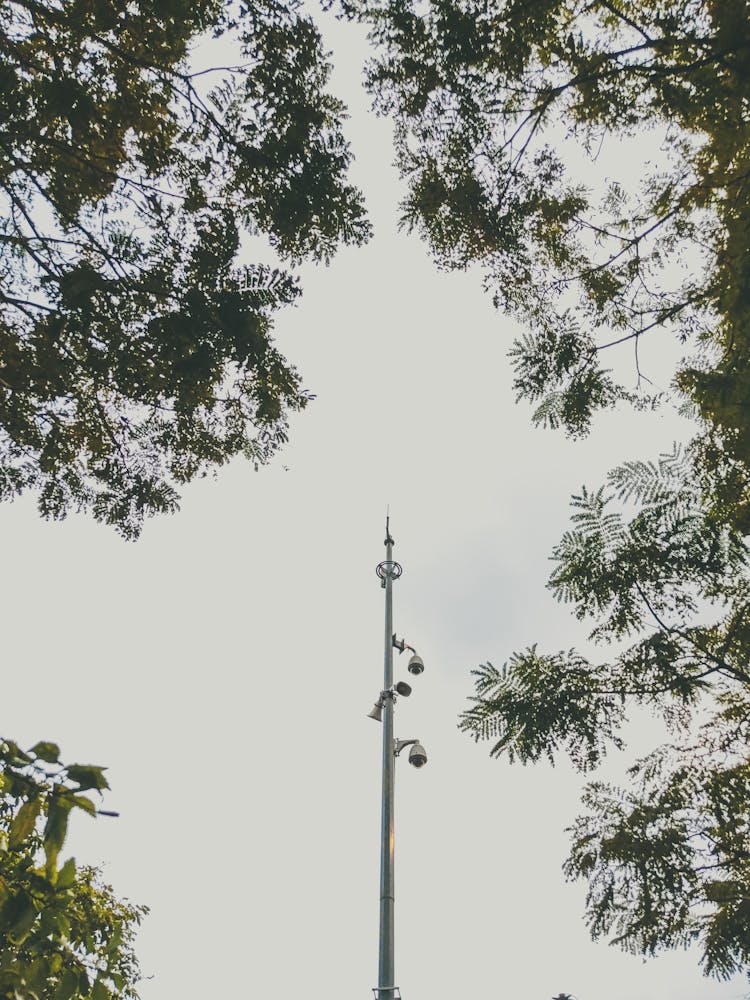 Pole With Security Cameras 