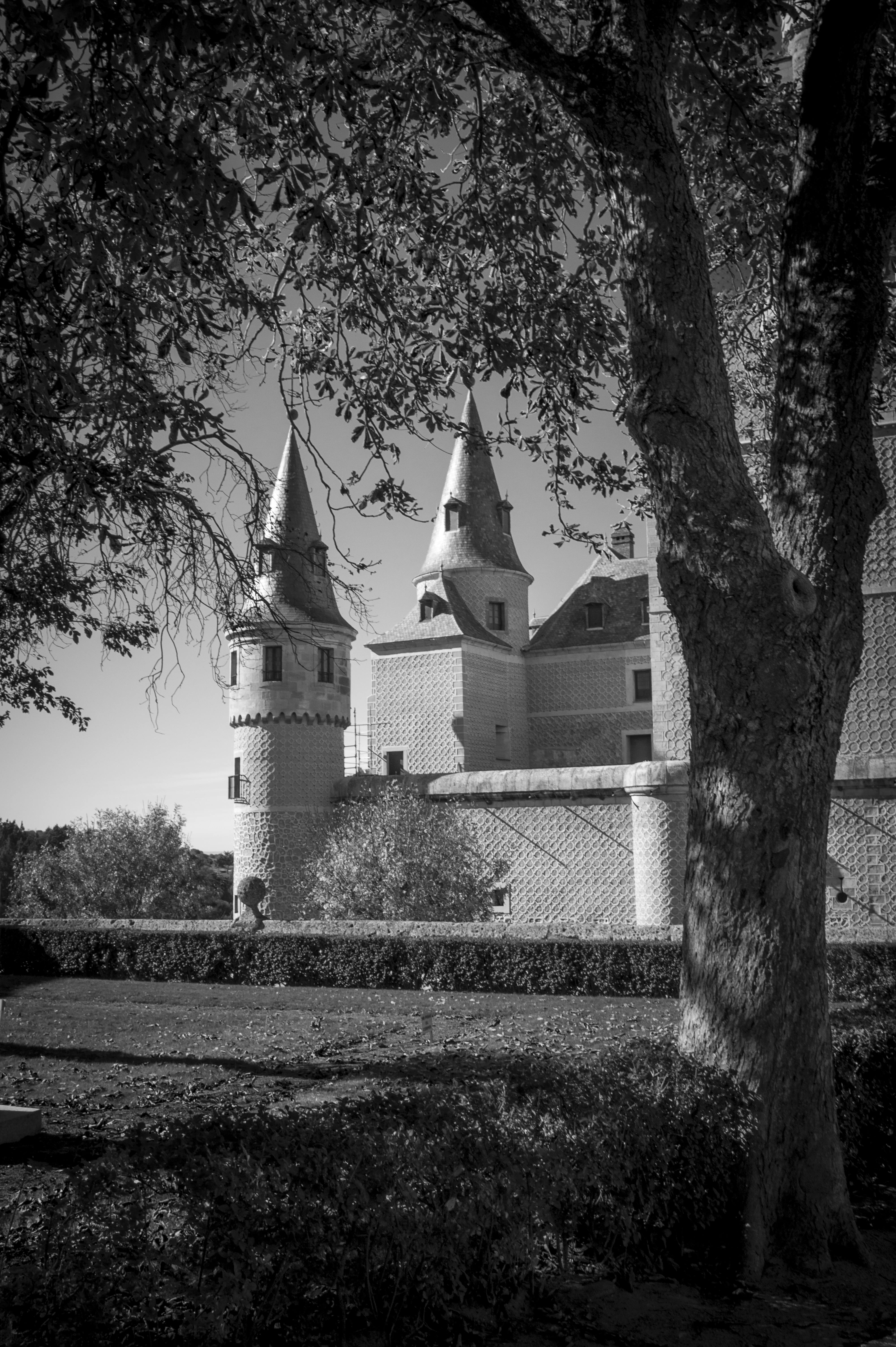 Photo Gratuite De Chateau Noir Et Blanc