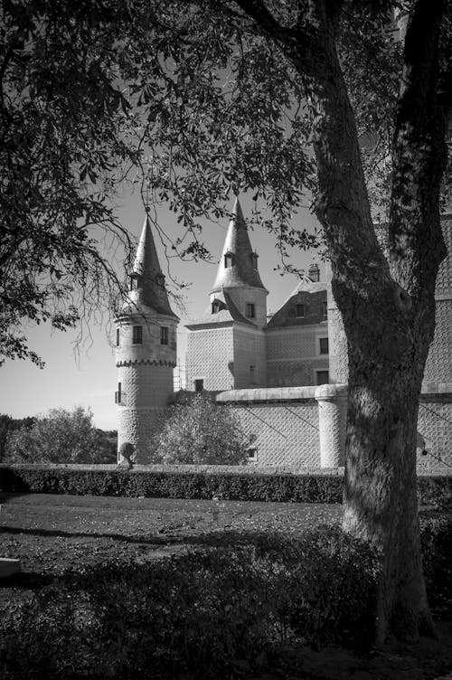 Foto stok gratis hitam & putih, Kastil