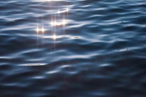 Free Tranquil close-up of rippling water reflecting sunlight, creating a serene, calming scene. Stock Photo