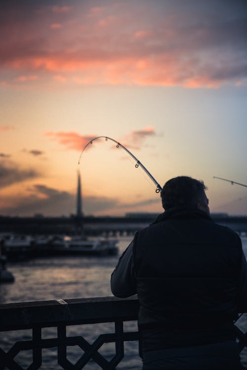 Gratis stockfoto met achteraanzicht, avondlucht, balustrade