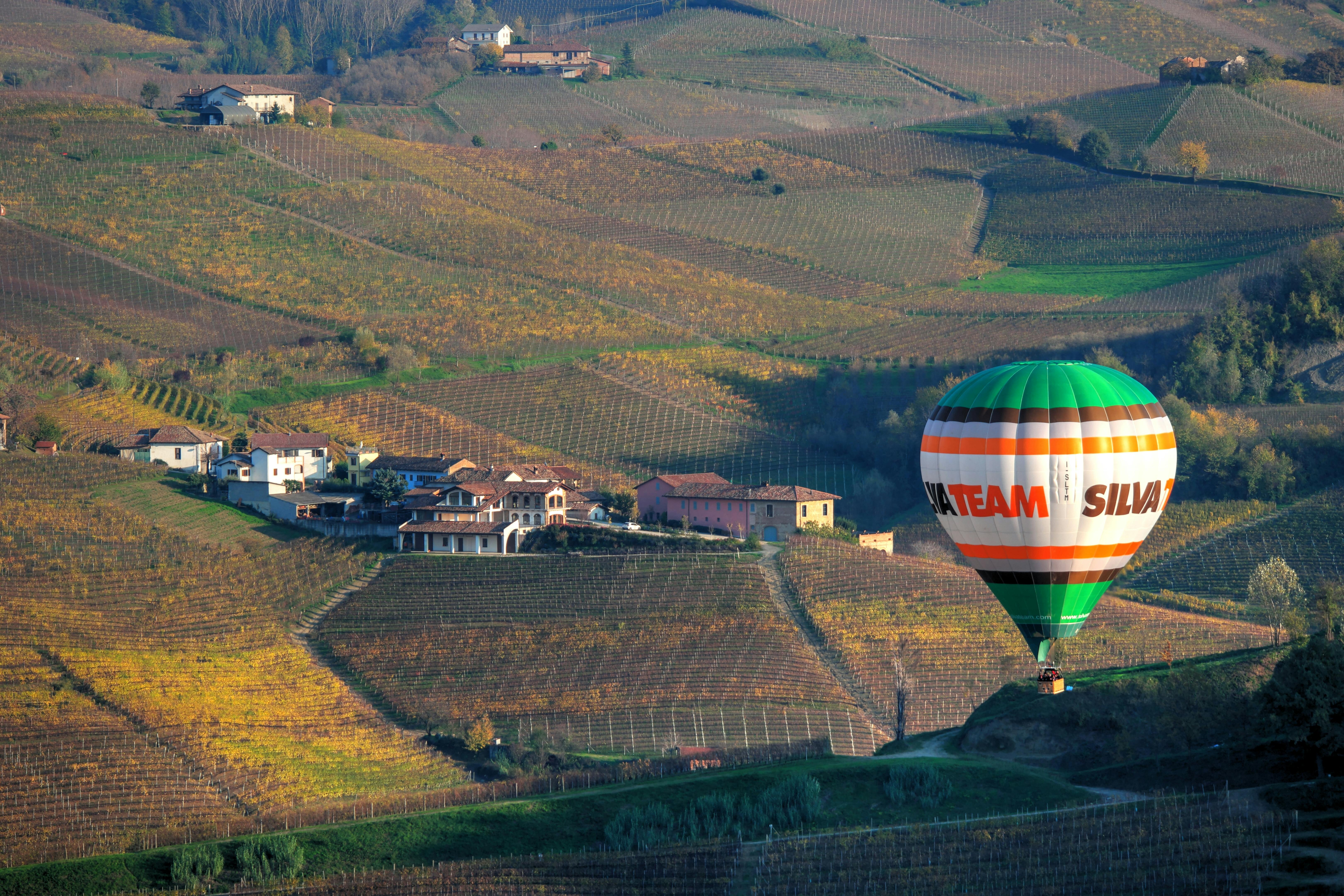 Vibrant hot air balloon soaring above scenic rural vineyard hills.