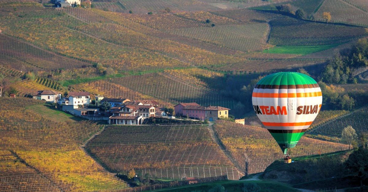 Vibrant hot air balloon soaring above scenic rural vineyard hills.