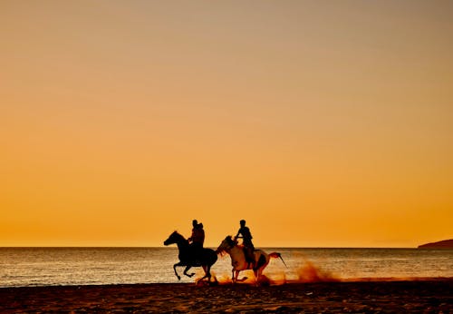 People Riding Horses on the Beach