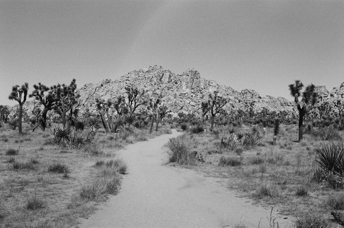 Black and White Photo of a Trail in Joshua Tree National Park, US