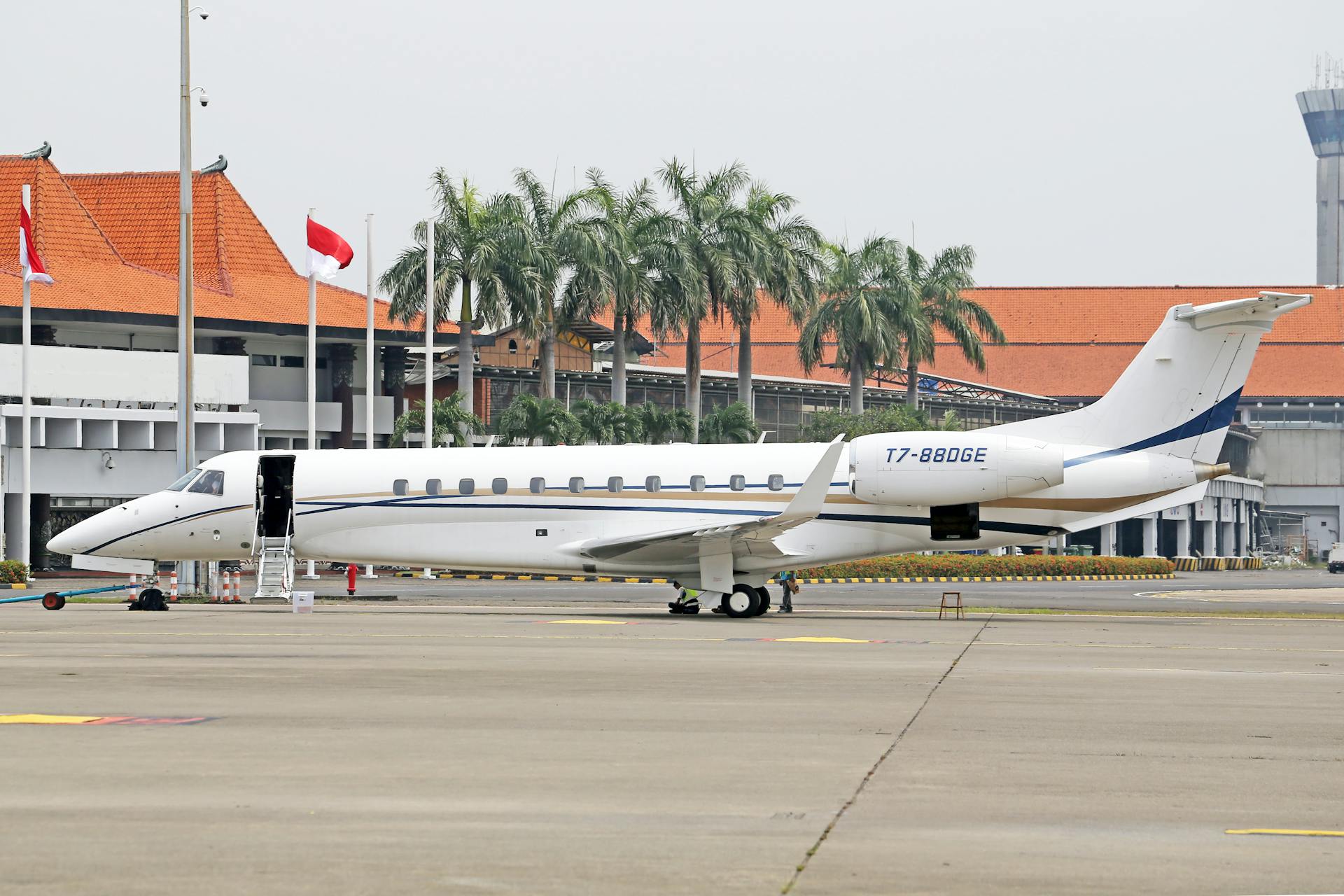 A sleek private jet parked on a runway at a tropical airport, with palm trees and flags visible.