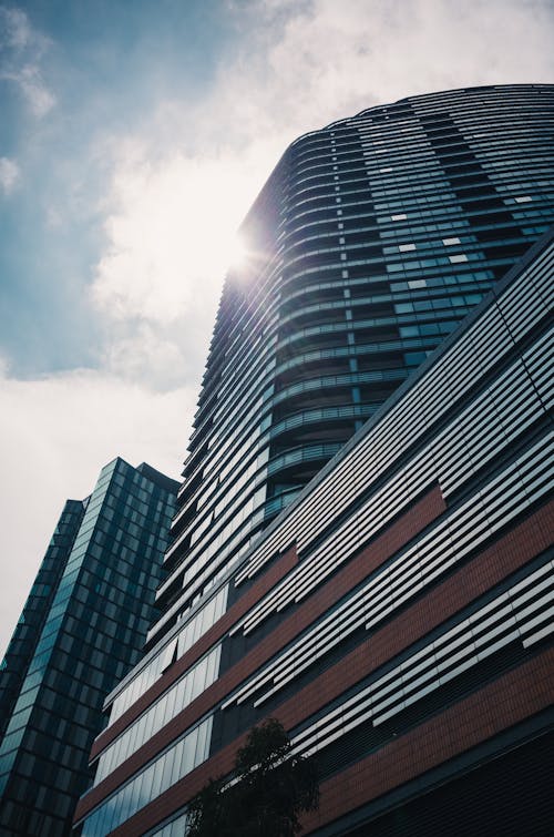 Low Angle Shot of Skyscrapers