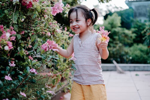 Free A Girl Holding Pink Flowers Stock Photo