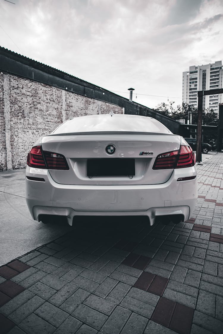 Rear Of White Car On Pavement