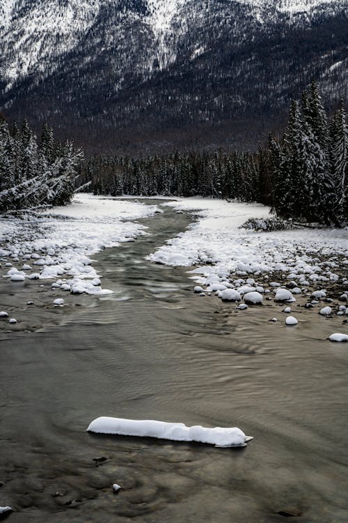 A River with Stones Covered with Snow Near Trees and Mountain