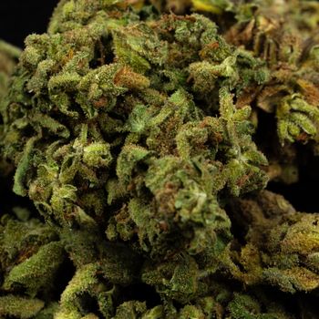 THC