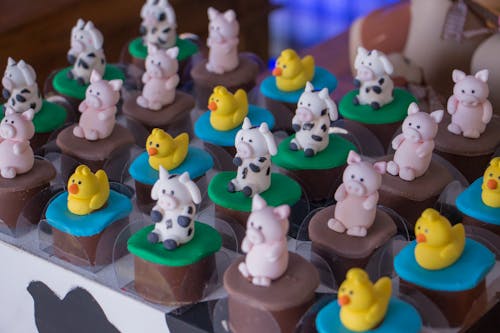 An Animal Designed Chocolate Cakes