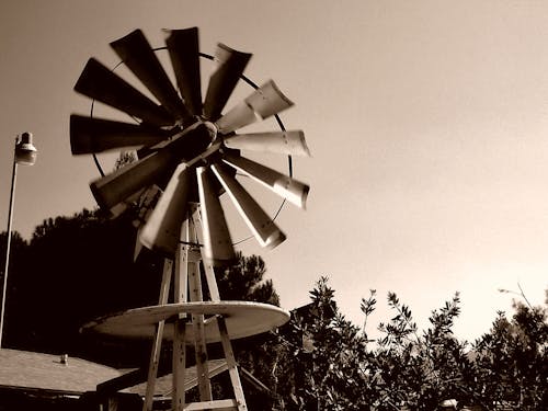 Foto profissional grátis de agricultura, chácara, com muito vento