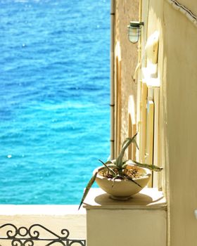 A serene view of a potted plant on a sunlit balcony overlooking blue ocean waters.