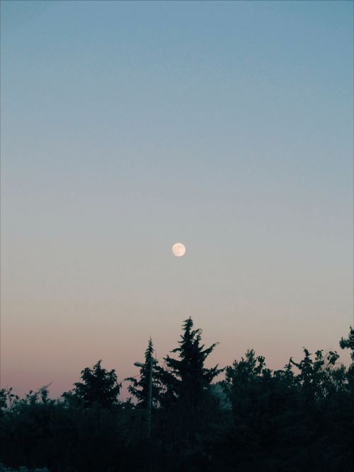 Free A serene scene of the moon rising over silhouetted trees against a colorful dusk sky. Stock Photo