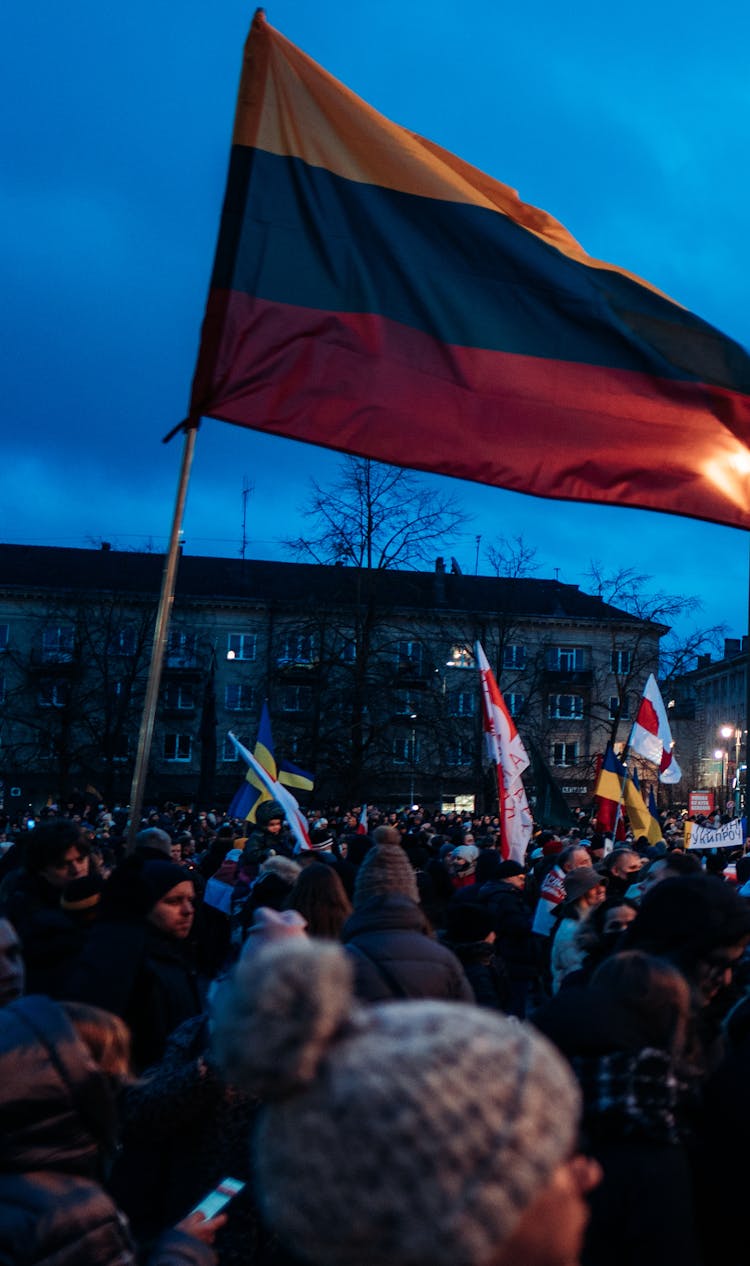 Protesters Waving Flags