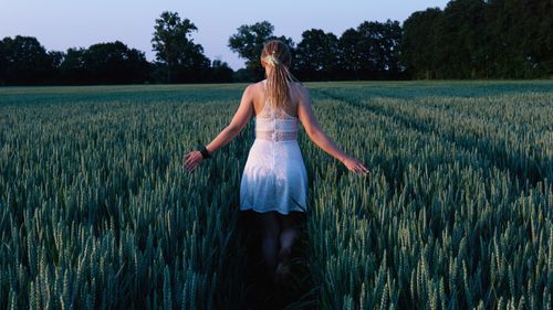 Free A serene scene of a woman in a dress walking through a wheat field at twilight. Stock Photo