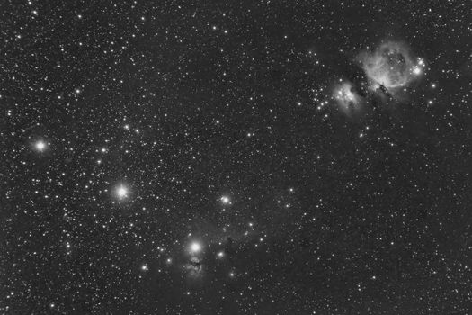 Orion