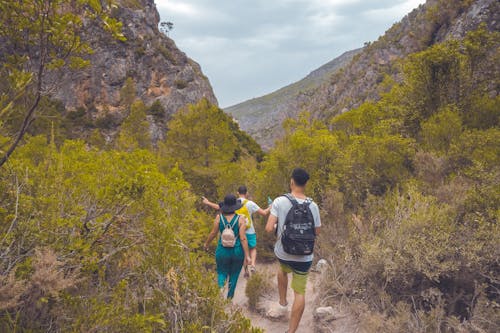 Two Men and Woman Walking Surrounded by Mountain and Trees