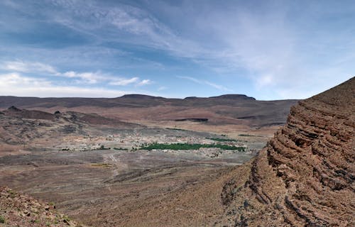 Shrubs in a Desert Valley