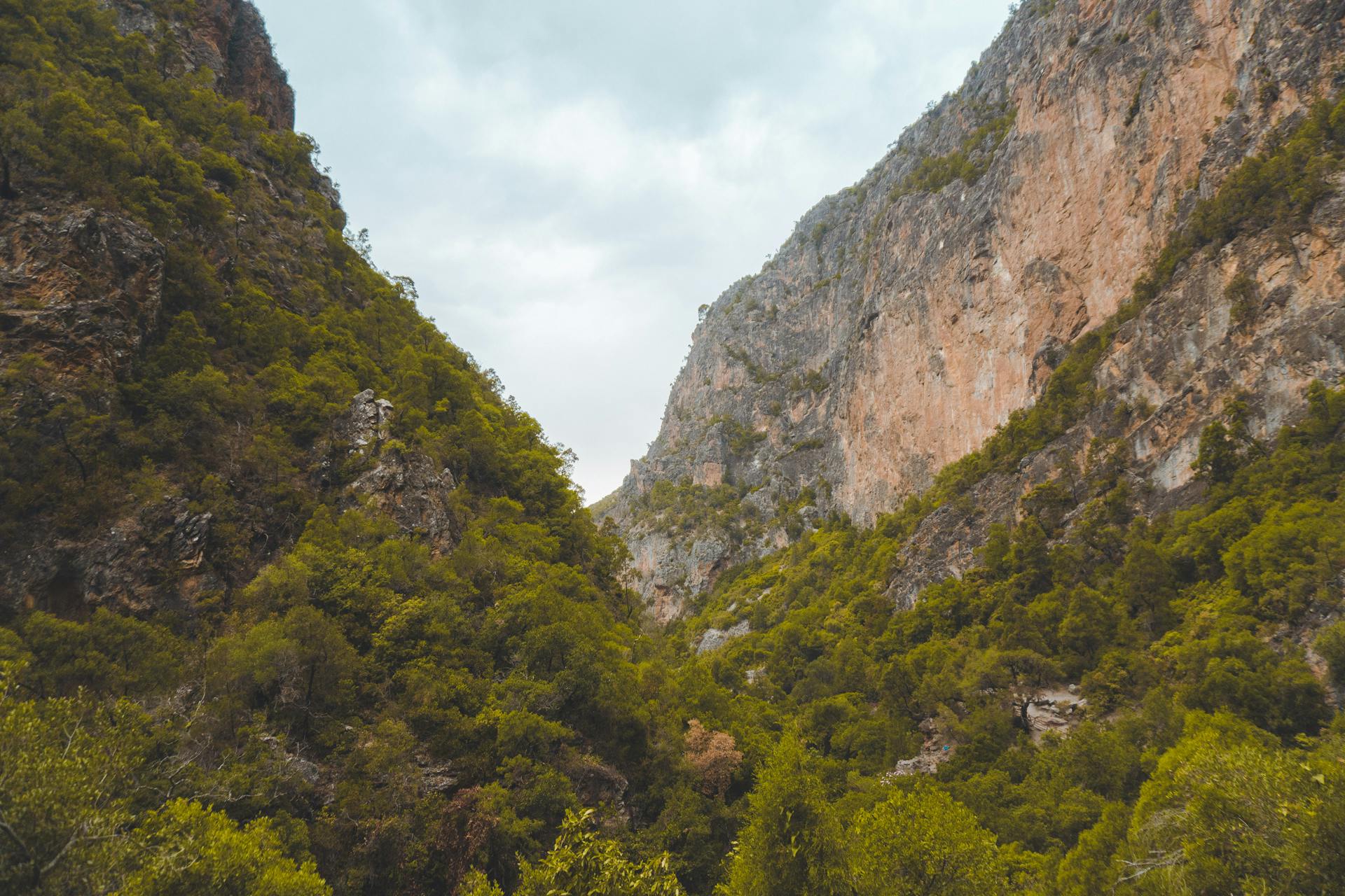 Lush green valleys and rugged cliffs in Akchour, Morocco show stunning natural beauty.