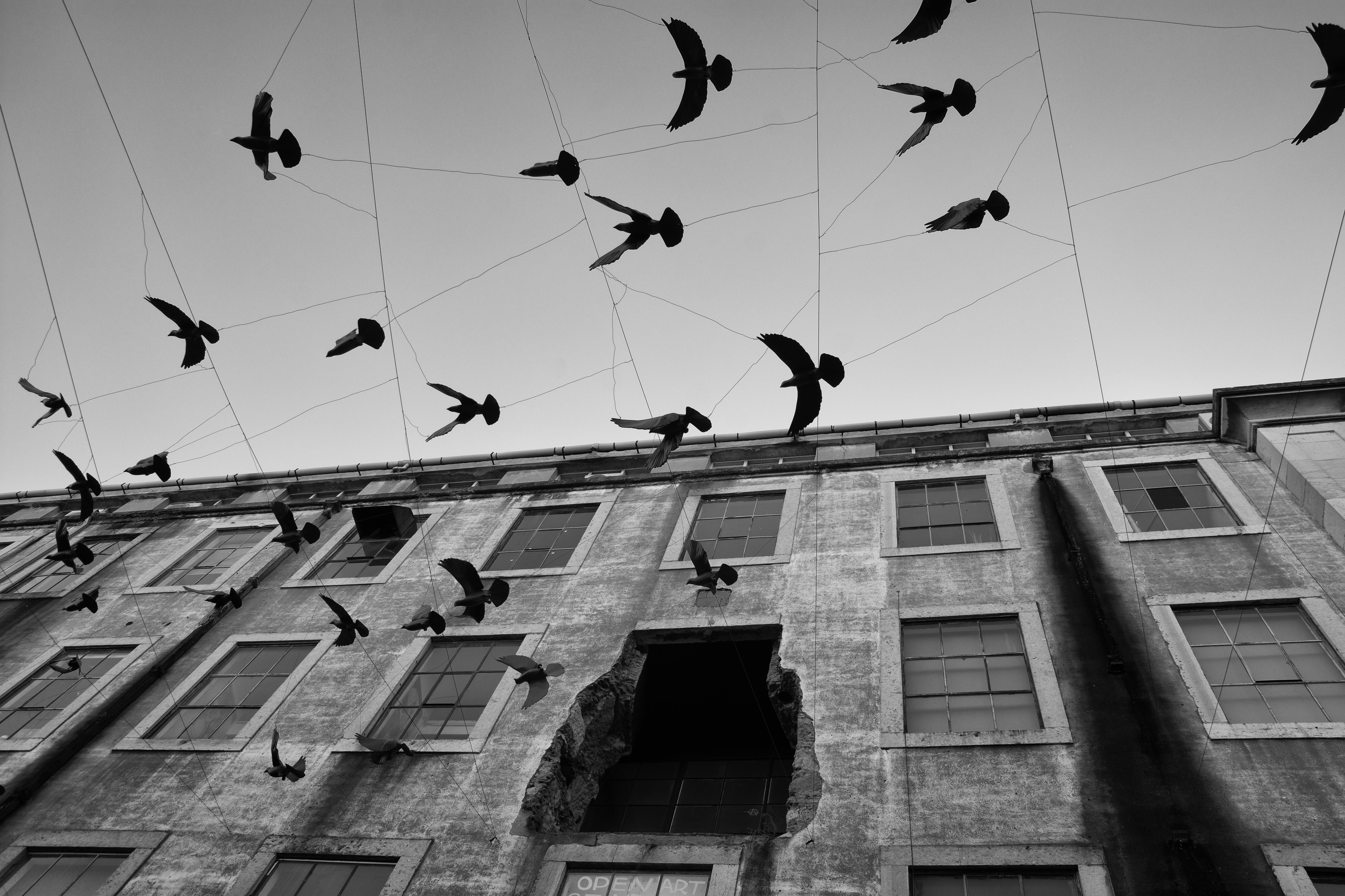 Environmental Initiatives Gain Momentum