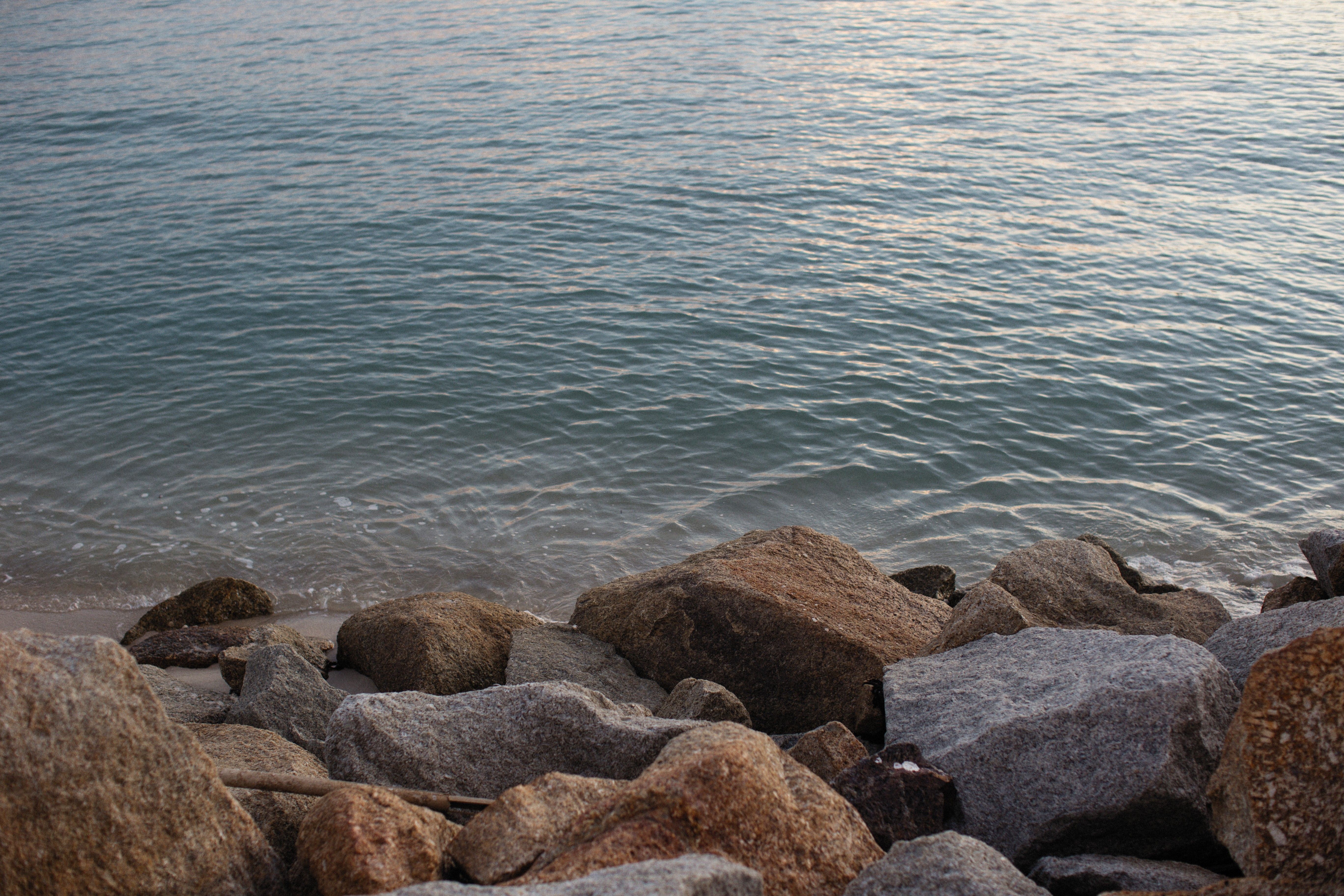 Close-up of Rocks on the Sea Coastline · Free Stock Photo